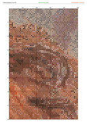 2882121-crosti-ru-color-7