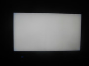 IMG-1355