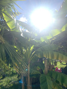 IMG-4595