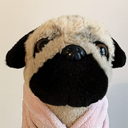 pugsly