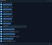 Telegram Motor Control