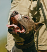 Screenshot_20230624_175038_Gallery