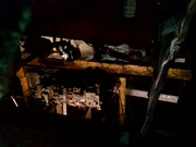 IMG-20211228-122229