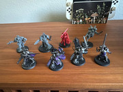 photo 2026 01 09 16 14 35