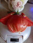 user posted image