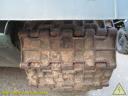 IMG-5619