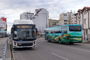 IMG-4381