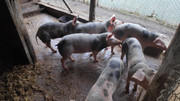 IMG-20211226-134748