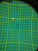 photo_2025-02-15_14-55-46