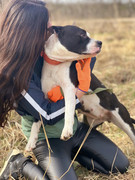 IMG_20230415_233204_313