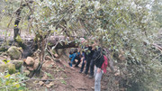 IMG-20260117-120112