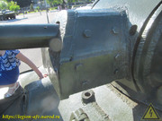 IMG-5582