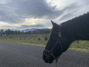 403741926_670933785204453_5854194584018117309_n