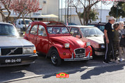 IMG-6167