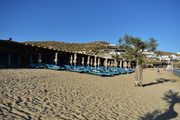 Paradise-(7)