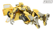 PF-SS-01-Bumblebee-04