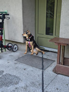 att.g9qVc4QDwI-Rif0UV1VmUwmtUSDU2vF2o9THJEK9UOk