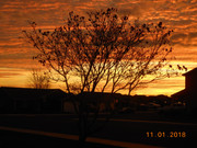 SUNSET-11-1-2018