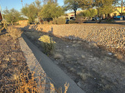 IMG-7573