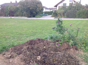 Kompostmiete Aus Drei mach Eins 2.Okt. 2015 (22)