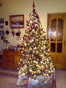 https://i.postimg.cc/kVtDRGsH/IMG-20201224-153654-1.jpg