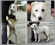 Be-Funky-collage-16.jpg&key=b1316c4eac94