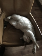 210-B9-BF9-AF89-49-F7-99-B5-E469-AB98-B3