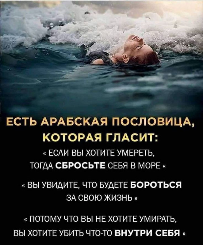 [Изображение: 576f6d54889a2db86a5e9bb105682cd9.jpg]