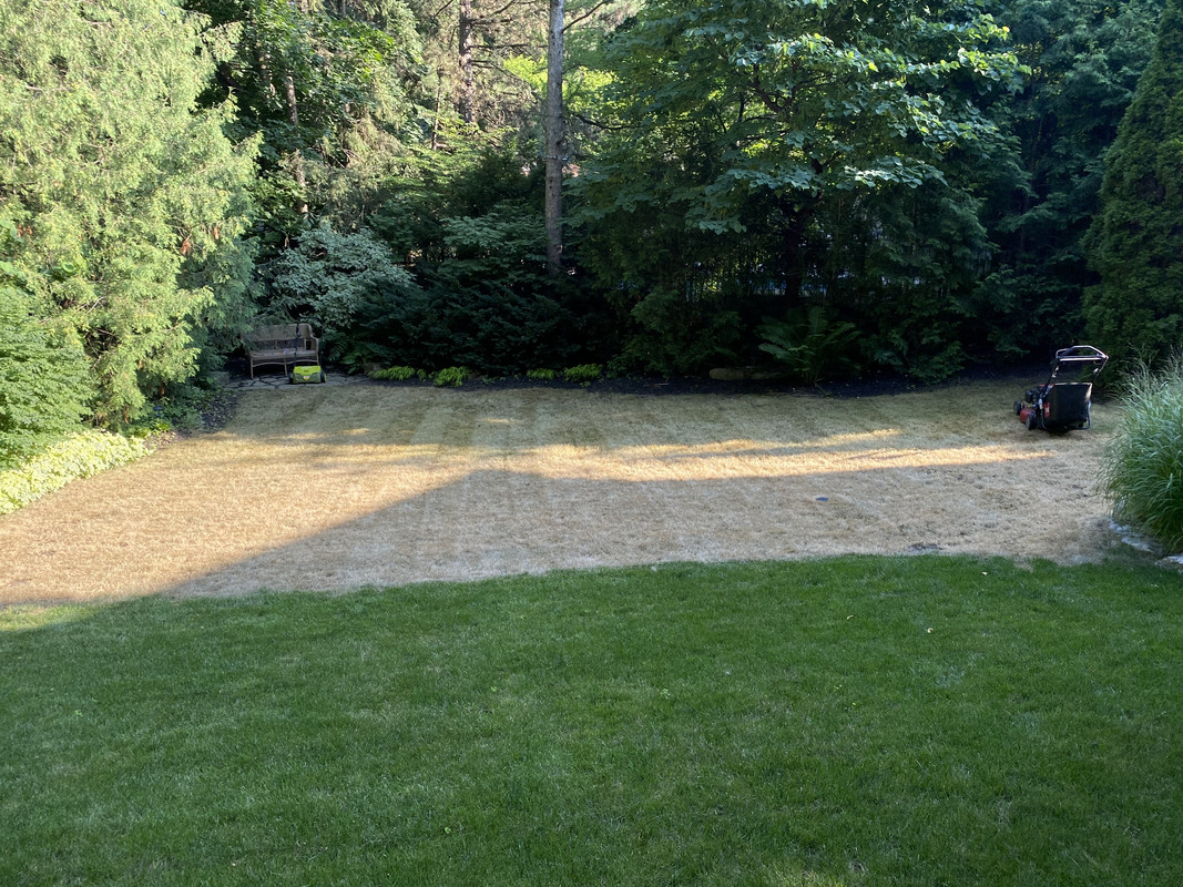 910708D4-DBE7-4CD9-9C11-2AD1BBC73B9F