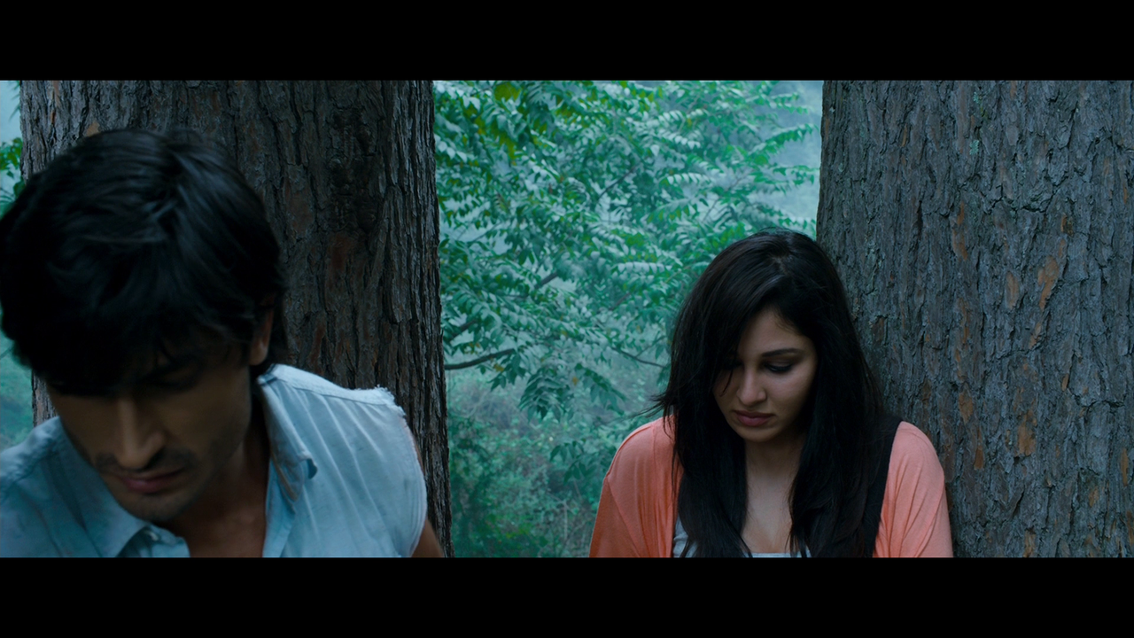 vlcsnap 2026 02 27 19h24m28s817