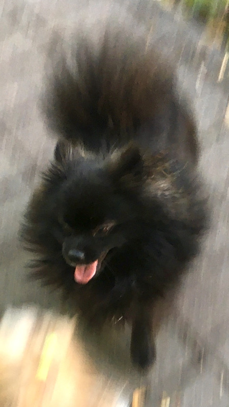 D03B683A-7659-42AB-93AC-1278B57CB4DB