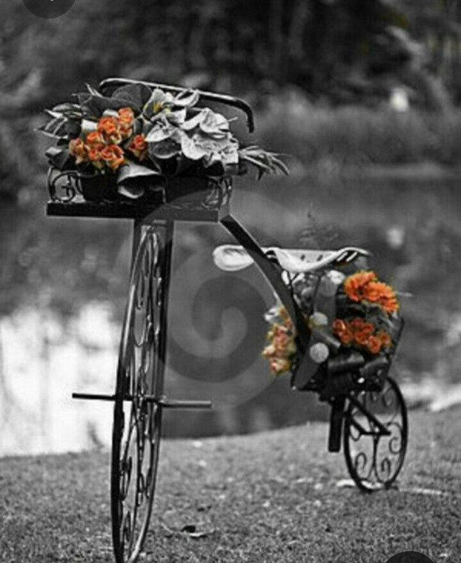 Screenshot_20230409_222511_Pinterest