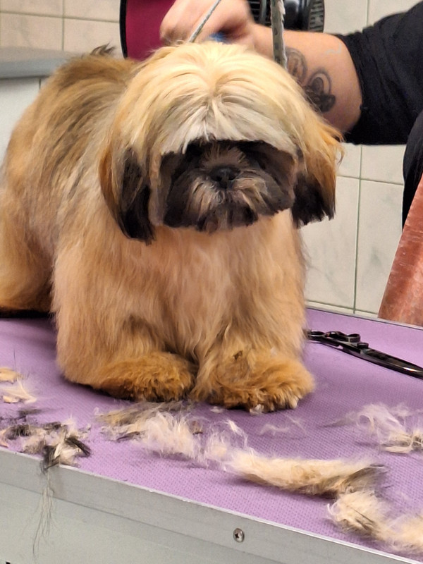 [Image: 20240117-183623.jpg]