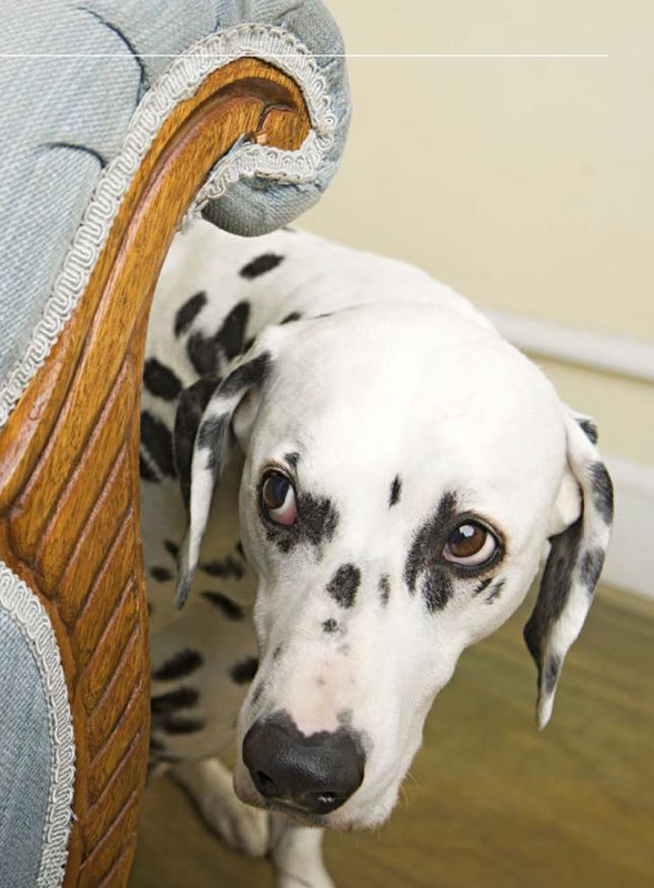 Il M C Mar-Apr 2024 (10)