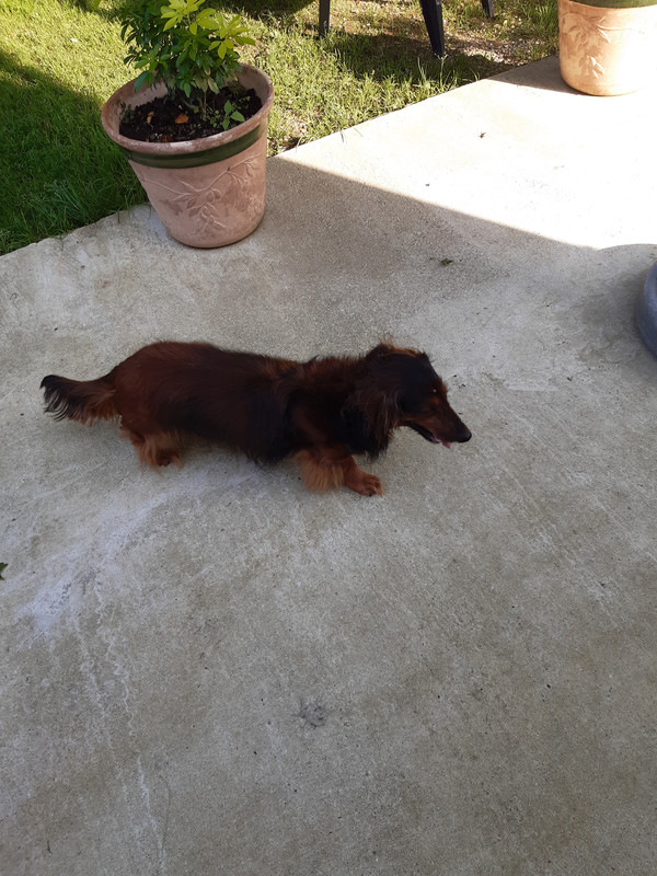 [Image: 20210813-181405.jpg]