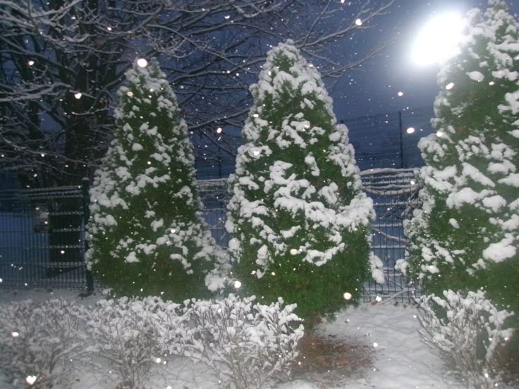 f8f4de76febb234f97628003080705c3