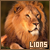 A 50x50 Of A Lion with a mane Small Text Saying Lion in corner