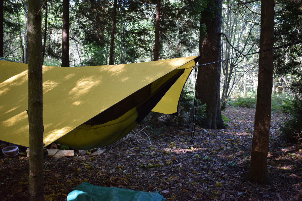 DSC_0019.jpg