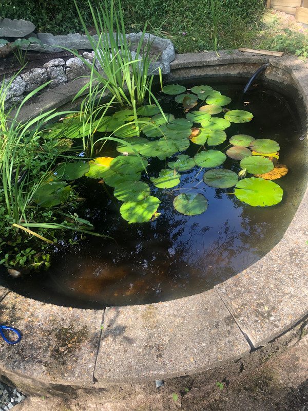 1BEBED8C-5B08-4783-AC52-4F0F0D0DECA6