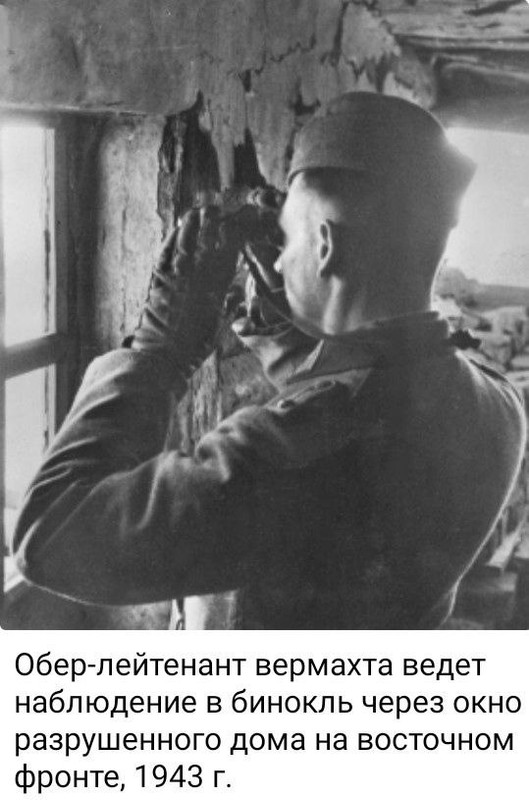 photo 2026 04 07 00 26 41