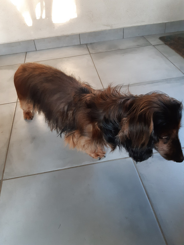 [Image: 20231227-150553.jpg]