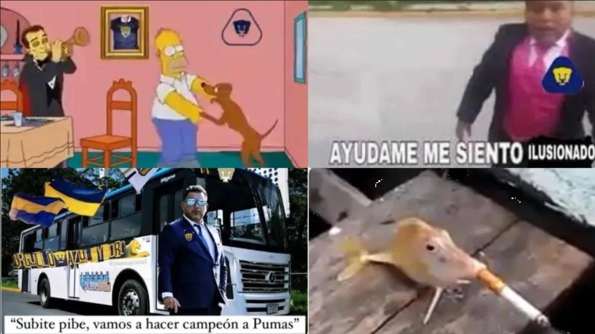 Antonio Mohamed es presentado con Pumas y se desatan los memes