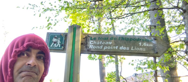 París: Exposiciones de Renoir, Matisse, Rousseau, Miguel Ángel y Rodín etc etc - Blogs de Francia - Chantilly, Museo de la Orangerie, Esplendores del Barroco en el Jacquemart (5)