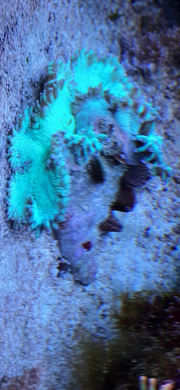 WhatsApp Image 2022-05-03 at 19.36.23 (2)