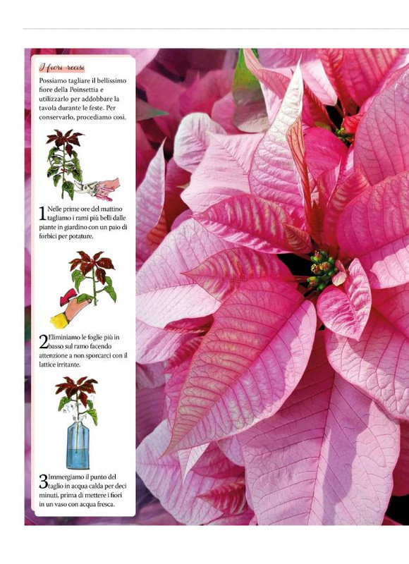 Pass Giar e orto Dic 2025 (1)