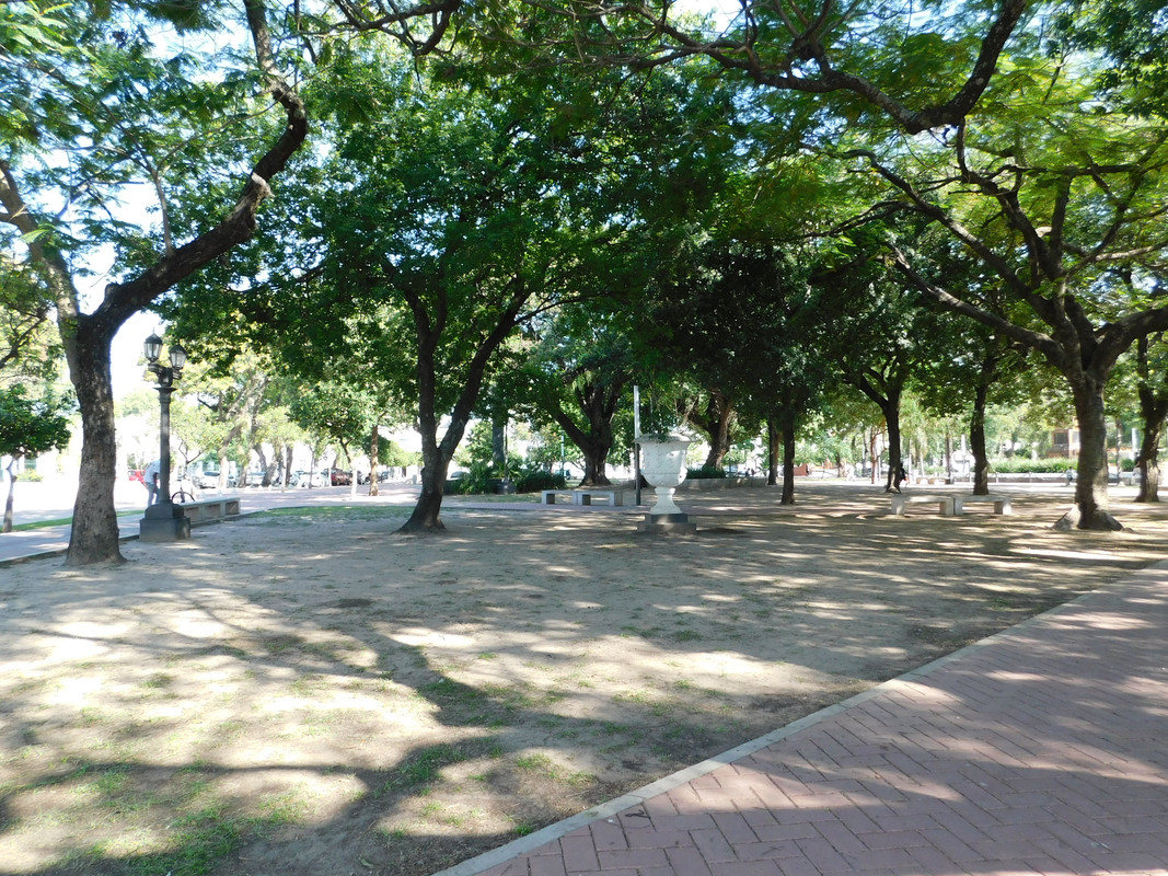 DSCN0235.jpg