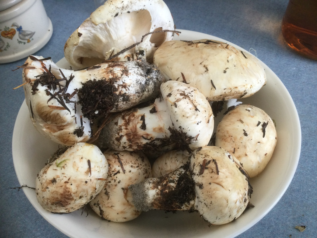 20A31108-9256-4537-9B11-CECC58FE9885