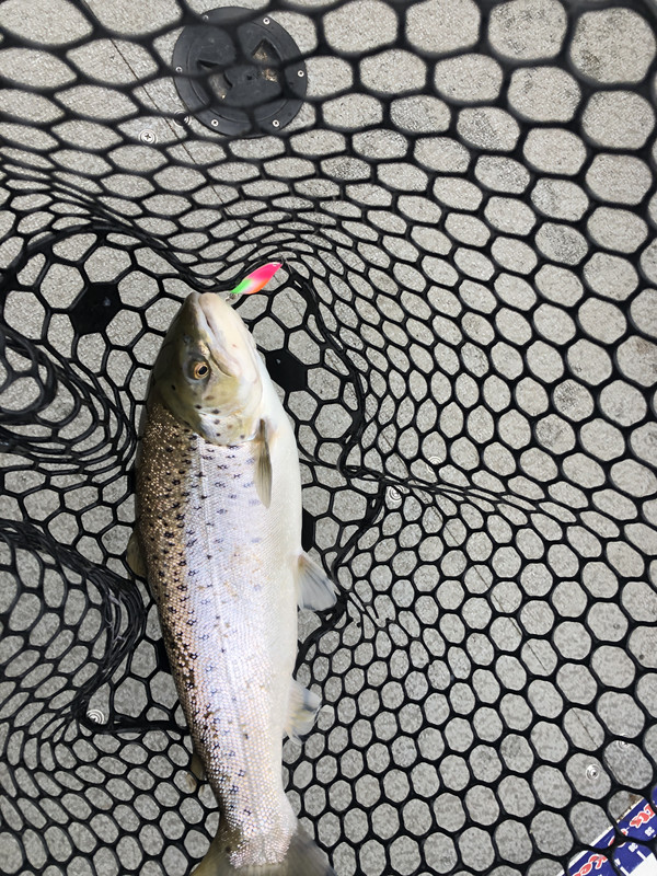 7236B125-6D7E-494E-8F28-0E28C2B1977F