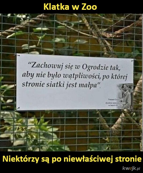 humor-2.jpg