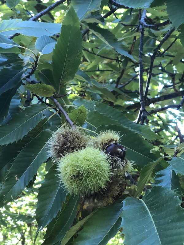 F390C153-5BA1-4EC5-BB2D-F263B30D8263